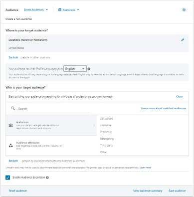 Screenshot of Campaign Manager, "Build your audience"; section
