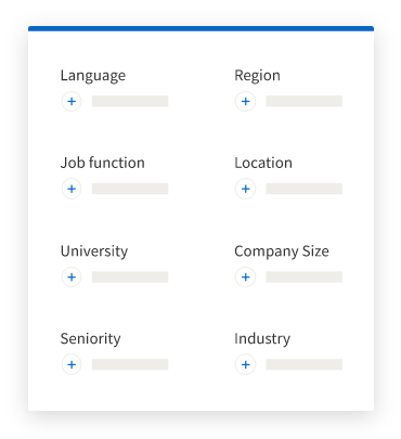 Targeting options including Language, Region, Job function, Location, University, Company Size, Seniority, and Industry