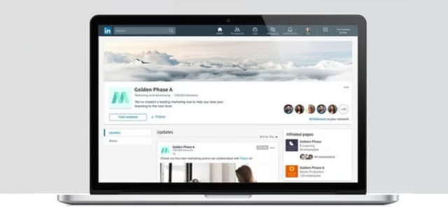 professional working on a laptop